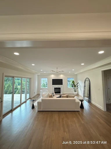 Living room ceiling fan