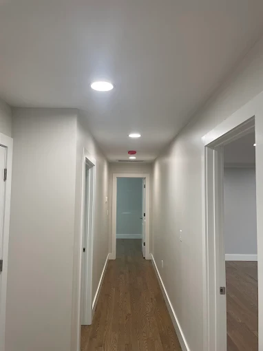 Ceiling smoke detector